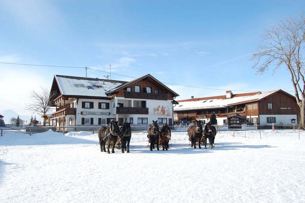 Hotel Gästehaus Stefanie Schwangau Zimmer foto